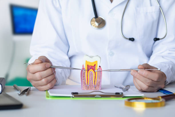 Best Urgent Dental Care for Toothaches in Charlevoix, MI